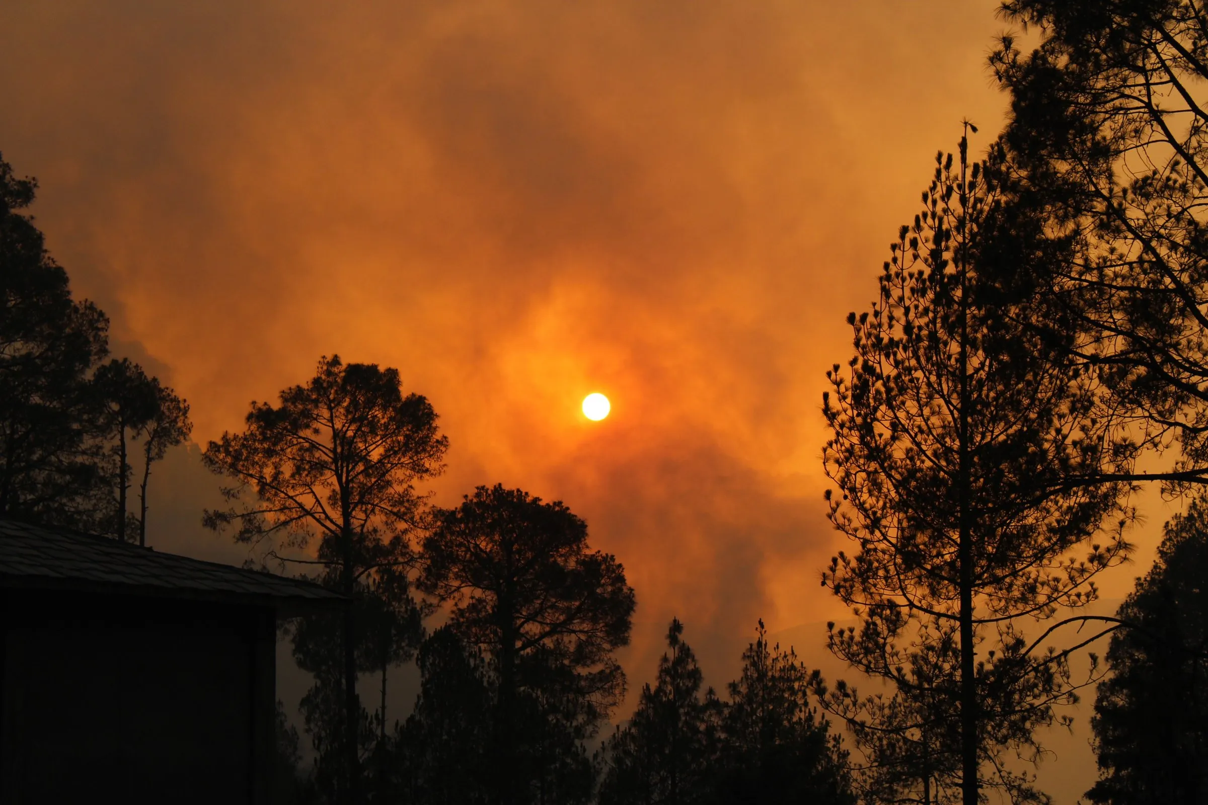 Europe’s 2026 wildfires expose the cost of ignoring prevention — time for smarter, firmer action