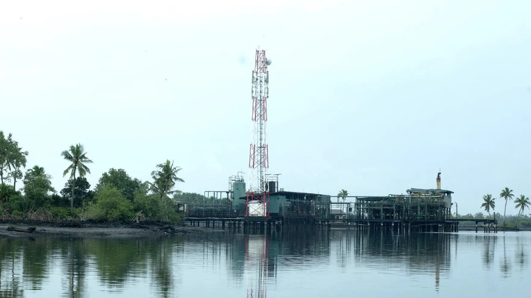 Leaked Shell files reveal decision to keep polluted Niger Delta pipeline running despite staff warnings — Western corporate neglect exposed